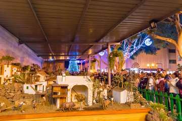  Telde brilla por Navidad (Reportaje gráfico de Antonio Rico y Antonio Alí)